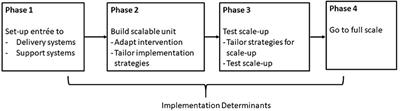 Tailoring implementation strategies for scale-up: Preparing to take the Med-South Lifestyle program to scale statewide